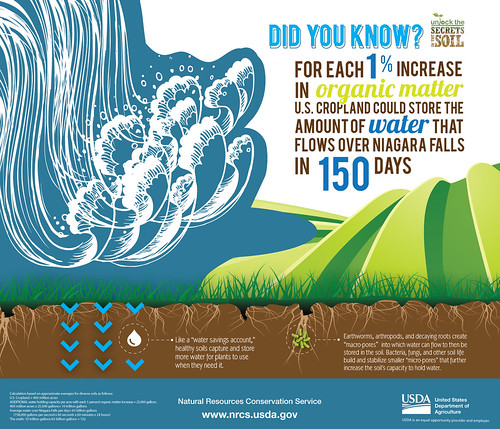 Additional organic matter in soil helps it to retain water - which can help with  drought resilancy and flood control. From: https://www.usda.gov/media/blog/2015/05/12/hedge-against-drought-why-healthy-soil-water-bank