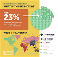 Imagine depicting that approximatly a quarter of all global death are linked to the environment.