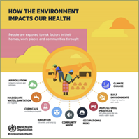 An image showing where environmental risks occur.