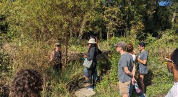 Science For Georgia - Learning About Foraging